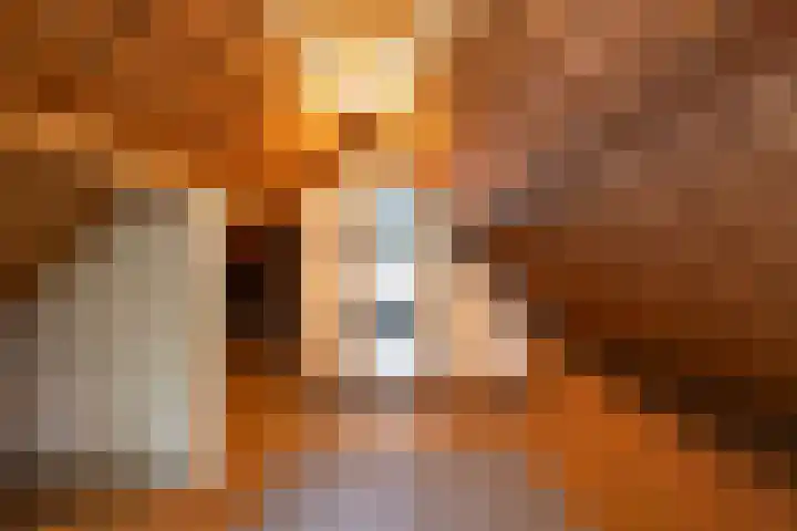 Koningin Hortenselaan 16 Apeldoorn thumbnail 25