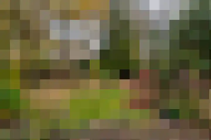 Koningin Hortenselaan 16 Apeldoorn thumbnail 29