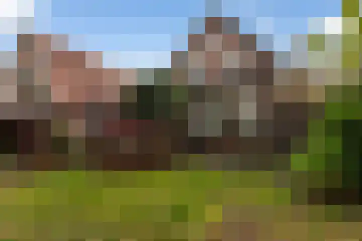 Koningin Hortenselaan 16 Apeldoorn thumbnail 31