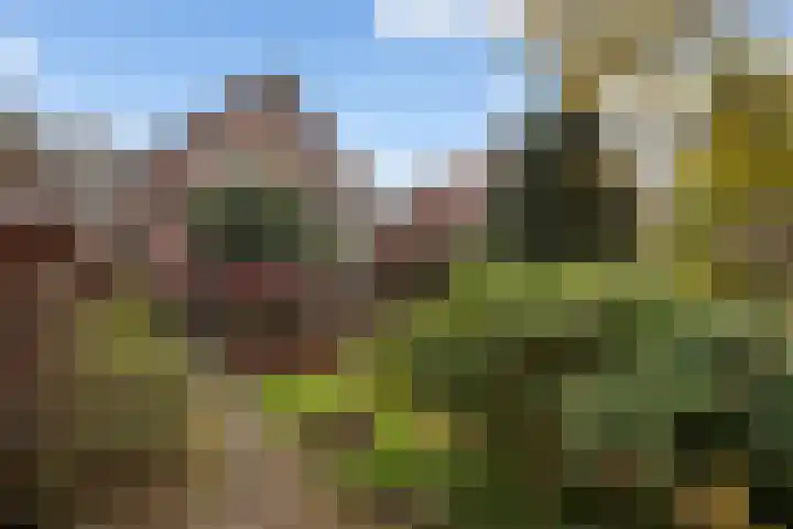 Koningin Hortenselaan 16 Apeldoorn thumbnail 32