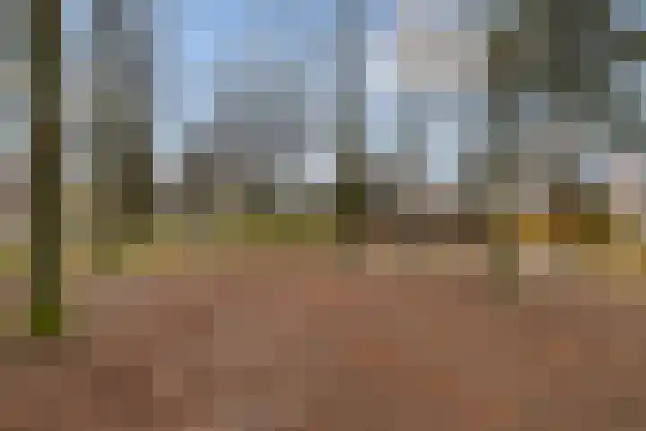 Koningin Hortenselaan 16 Apeldoorn thumbnail 35