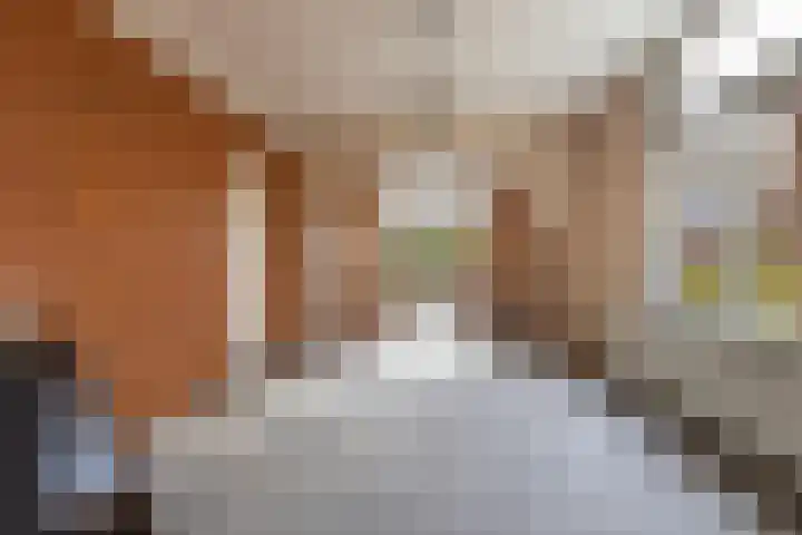 Koningin Hortenselaan 16 Apeldoorn thumbnail 8