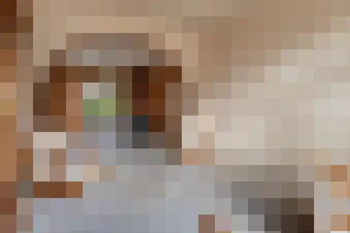 Koningin Hortenselaan 16 Apeldoorn thumbnail 9