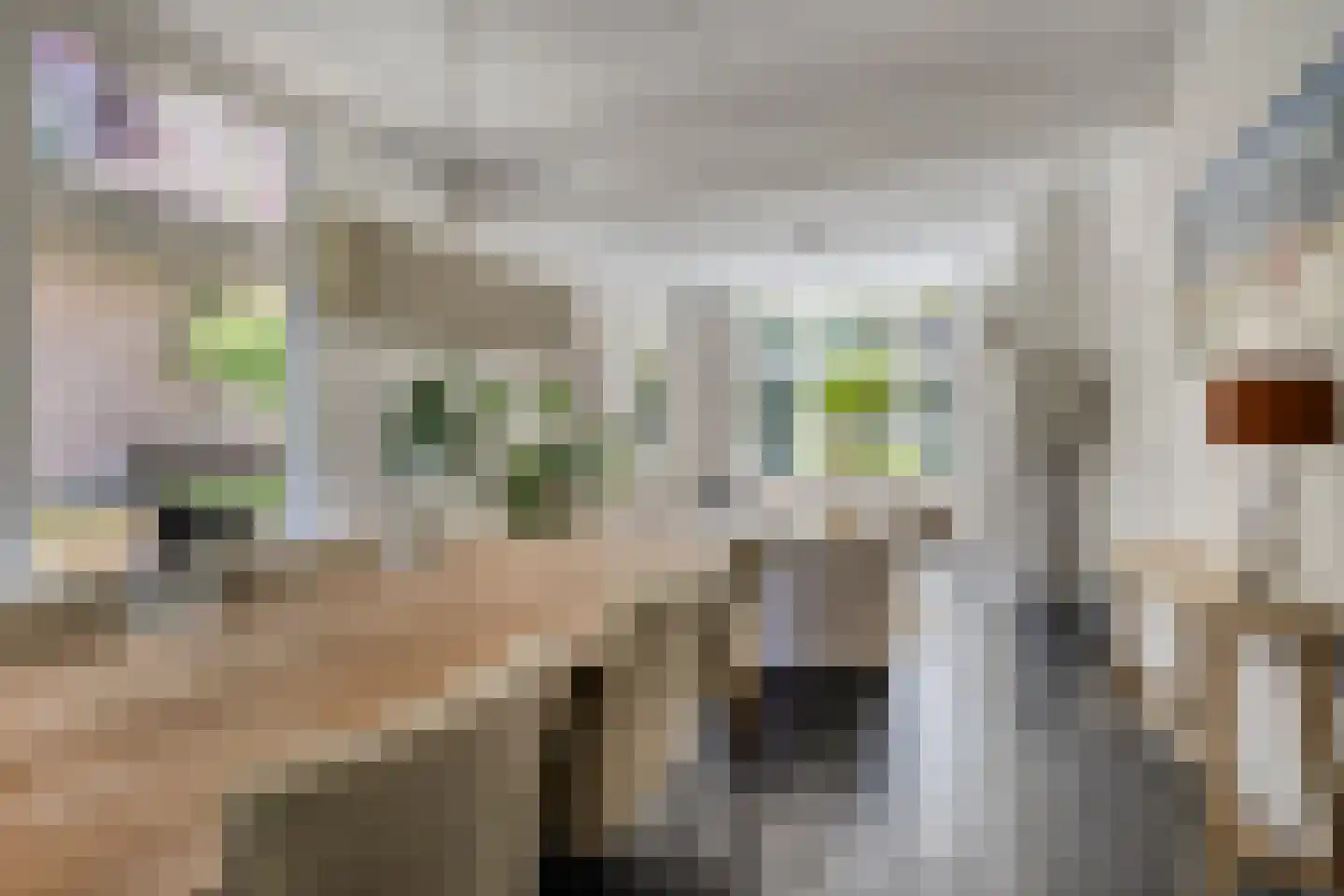 Koningin Hortenselaan 6 Apeldoorn thumbnail 10