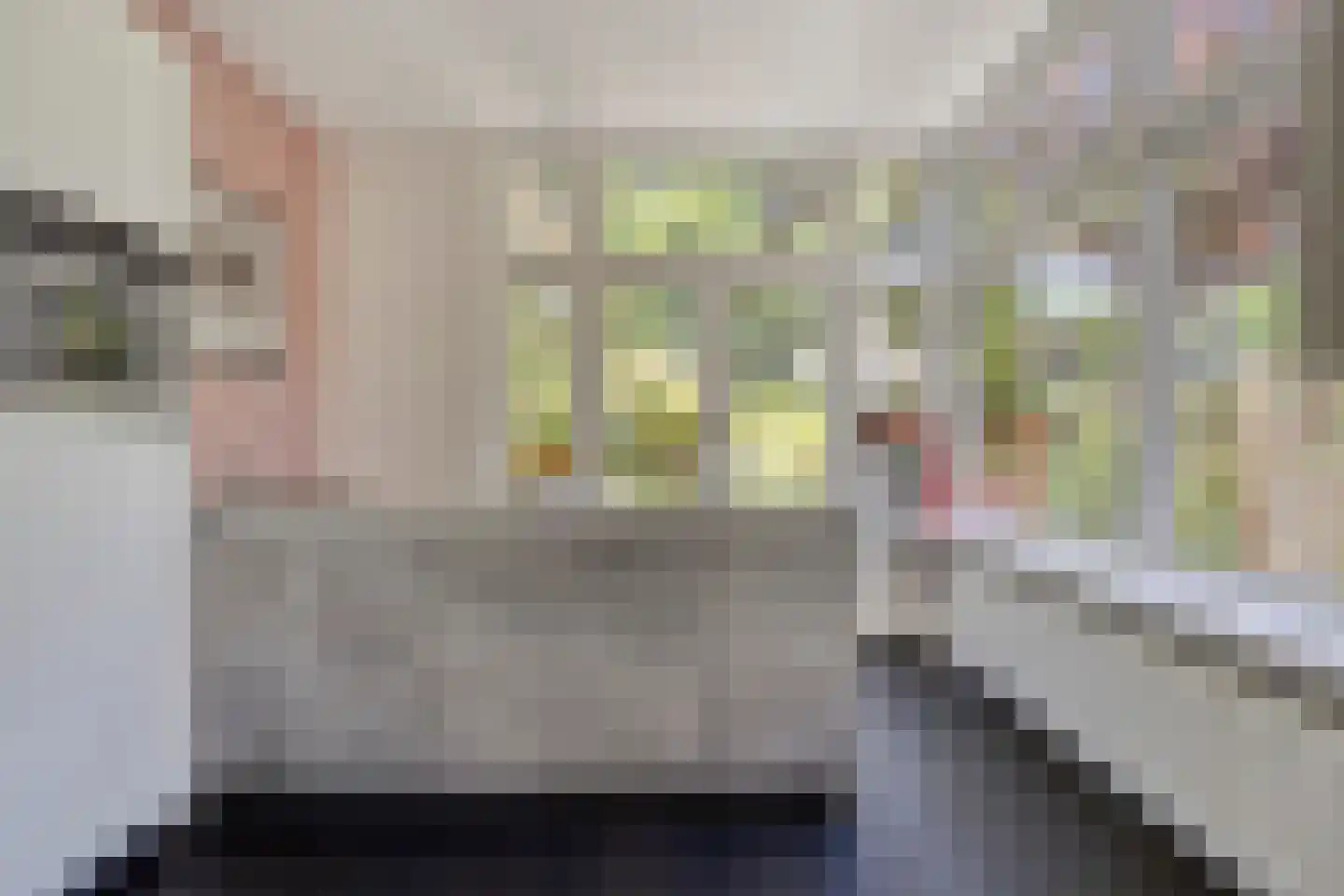 Koningin Hortenselaan 6 Apeldoorn thumbnail 12