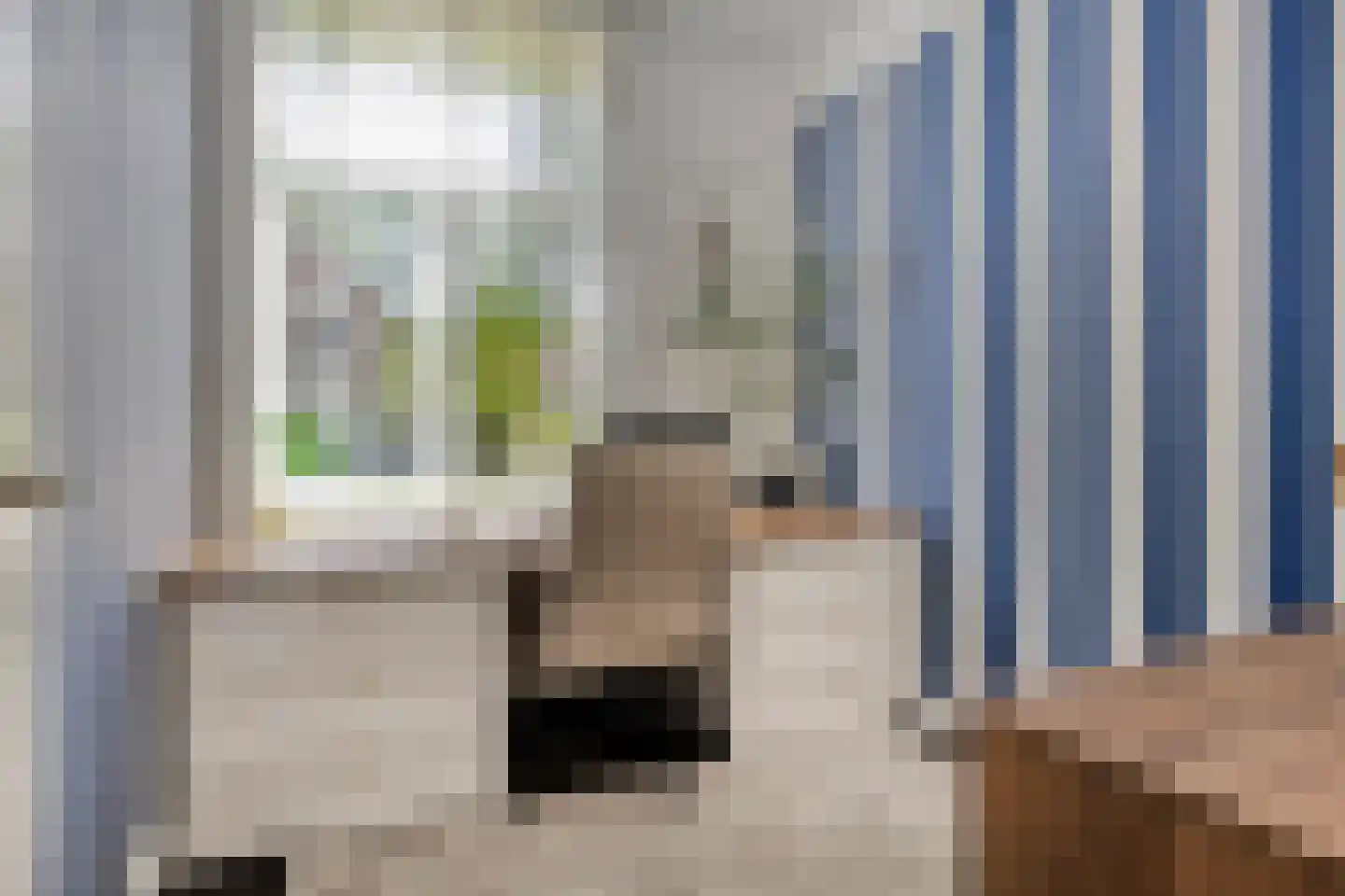 Koningin Hortenselaan 6 Apeldoorn thumbnail 18