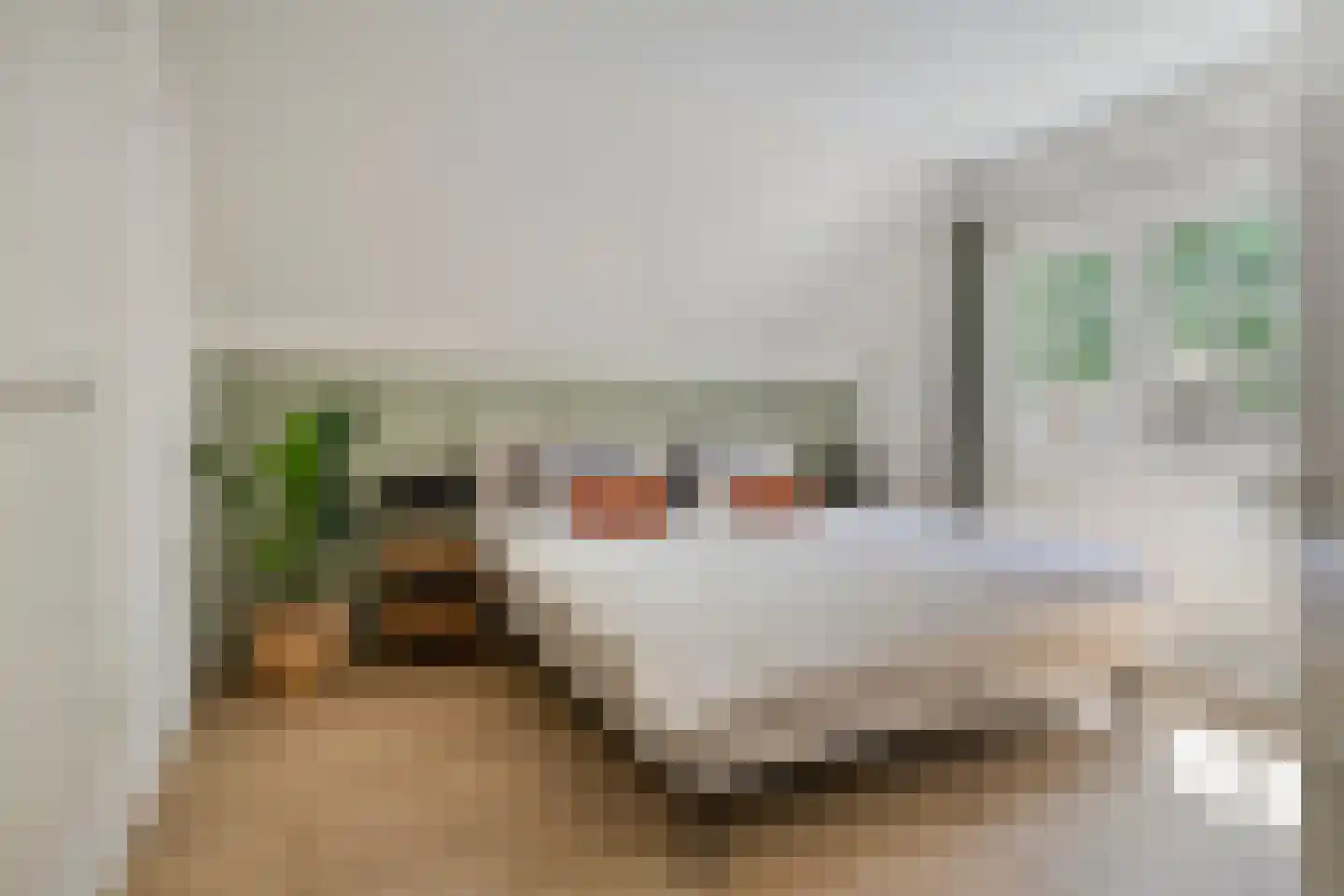Koningin Hortenselaan 6 Apeldoorn thumbnail 25