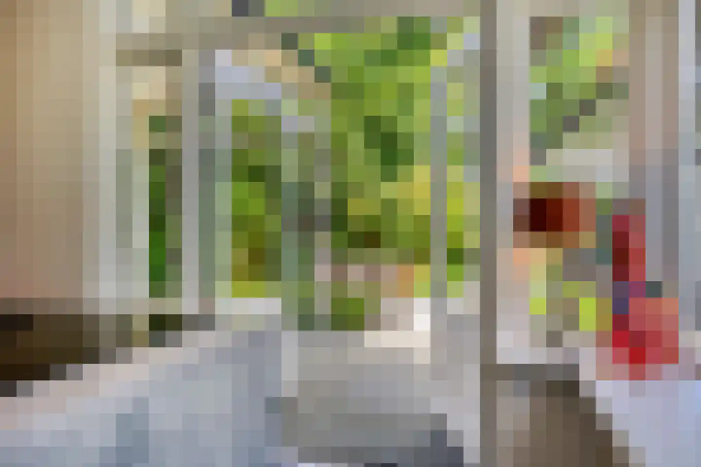 Koningin Hortenselaan 6 Apeldoorn thumbnail 42