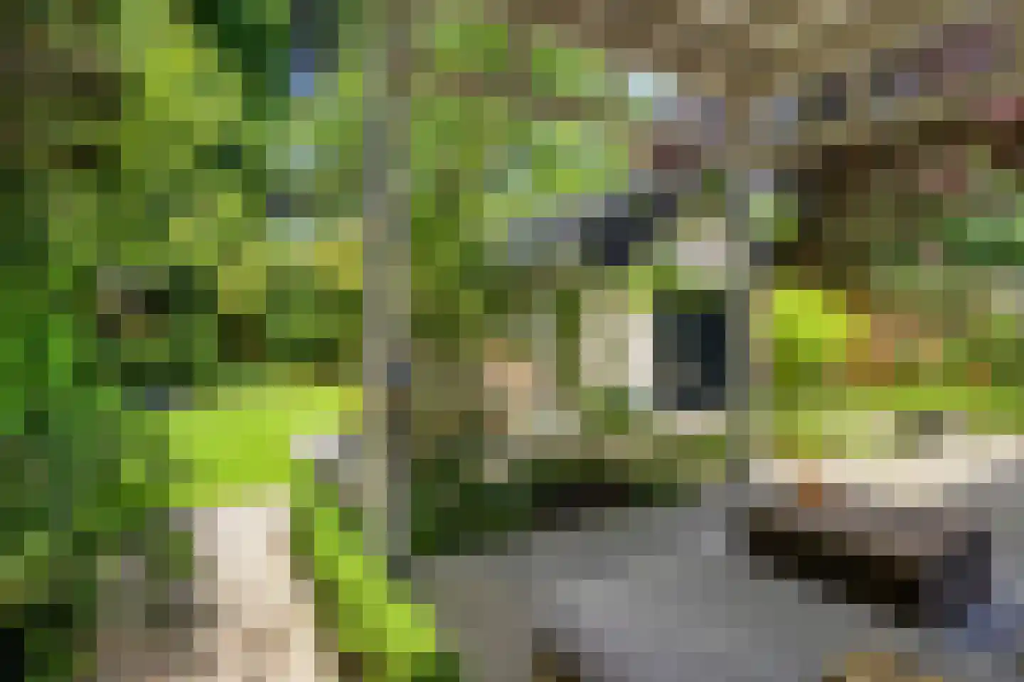 Koningin Hortenselaan 6 Apeldoorn thumbnail 43