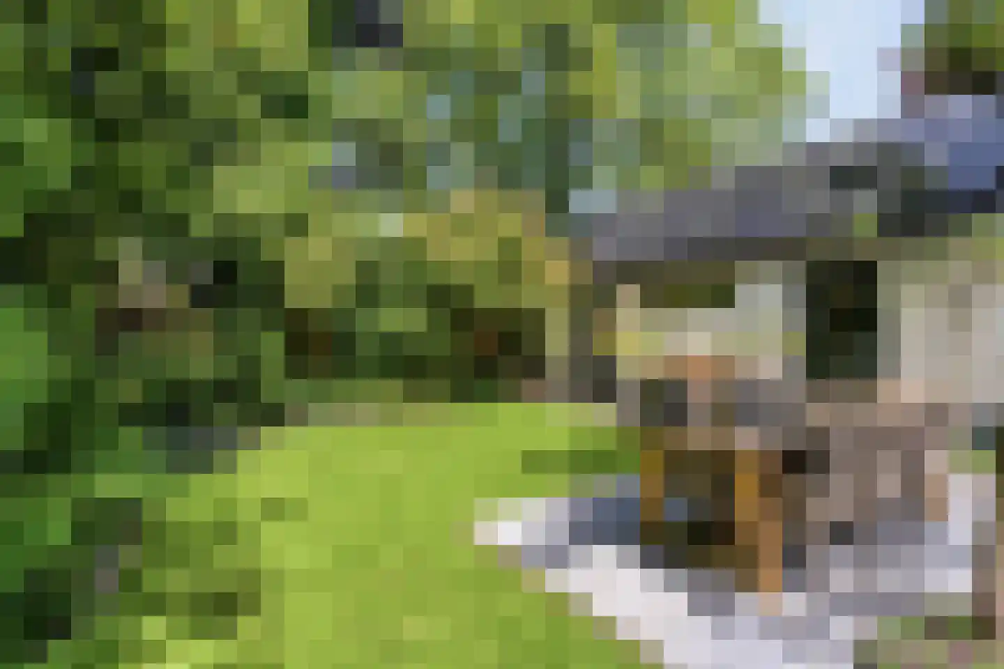Koningin Hortenselaan 6 Apeldoorn thumbnail 47