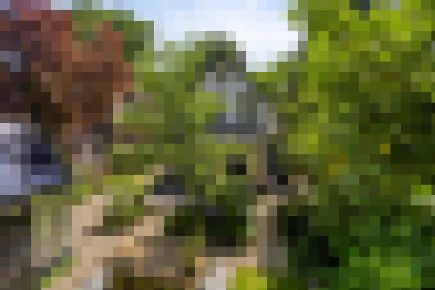 Koningin Hortenselaan 6 Apeldoorn thumbnail 48