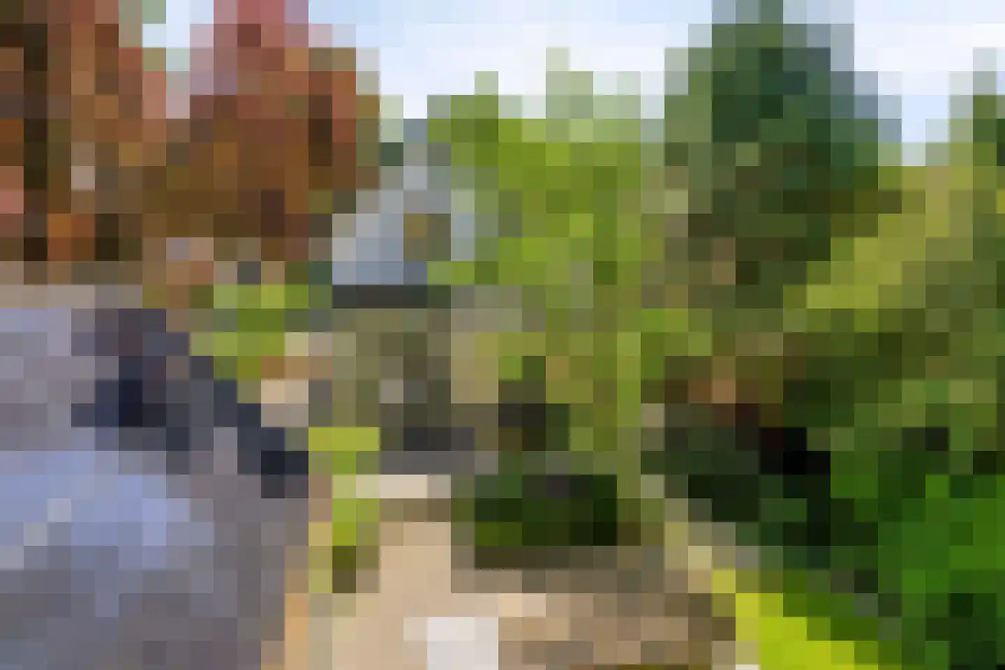 Koningin Hortenselaan 6 Apeldoorn thumbnail 49