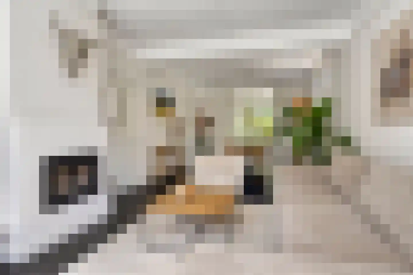 Koningin Hortenselaan 6 Apeldoorn thumbnail 6
