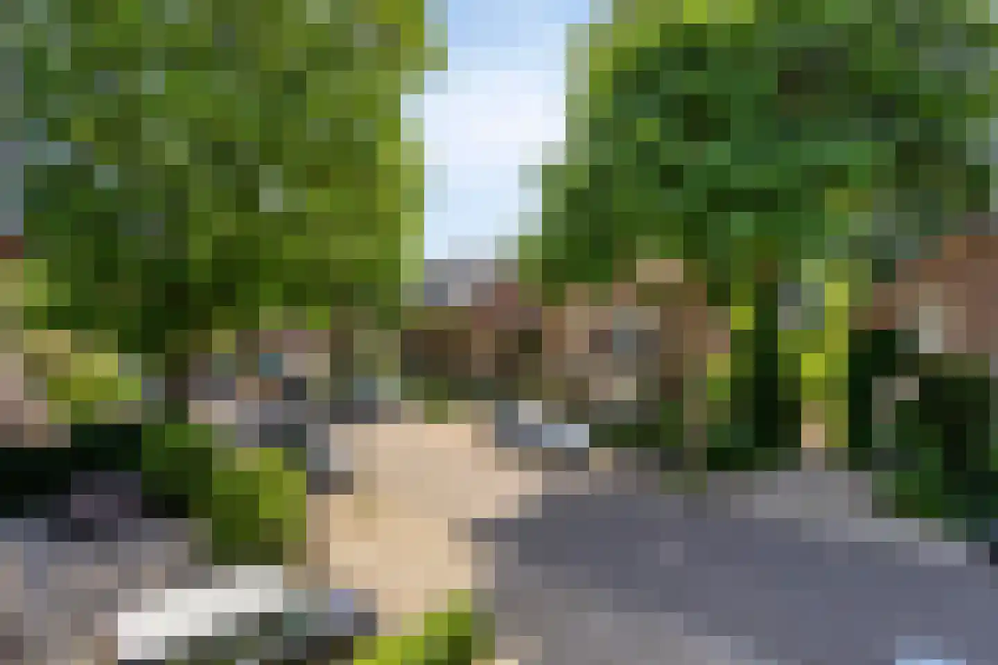 Koningin Hortenselaan 6 Apeldoorn thumbnail 66
