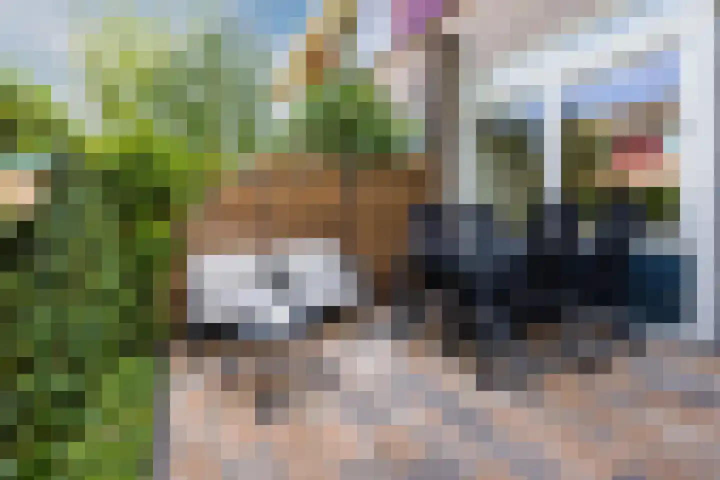 Koningin Julianahof 4 Waarder thumbnail 33