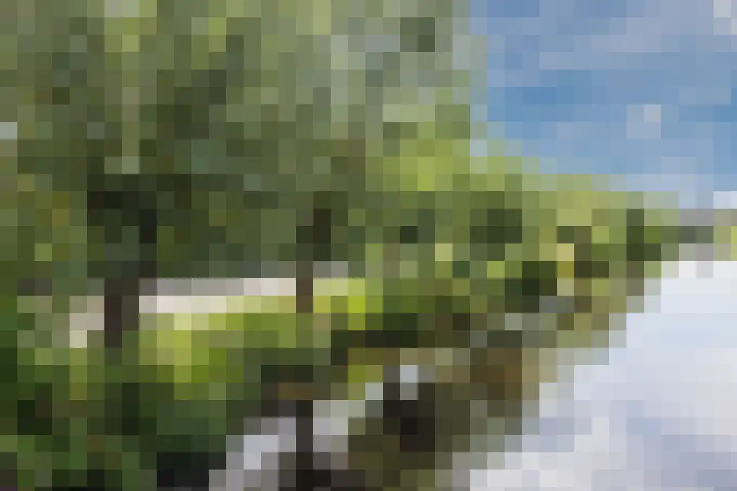 Koningin Julianahof 4 Waarder thumbnail 38