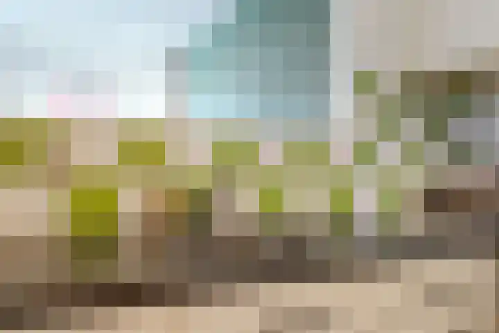 Koningin Julianahof 7 Waarder thumbnail 21