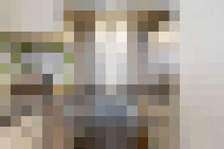 Koningin Julianahof 7 Waarder thumbnail 22