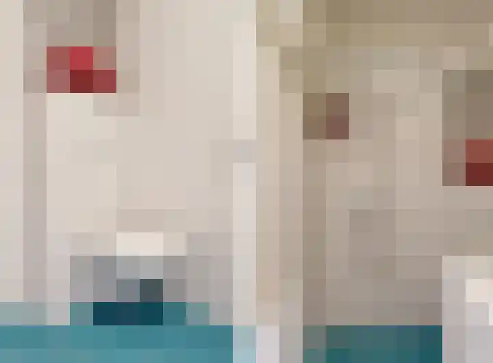 Koningin Julianahof 7 Waarder thumbnail 28