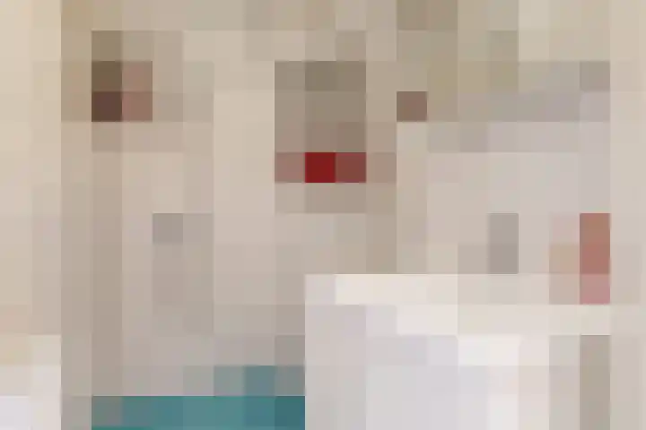 Koningin Julianahof 7 Waarder thumbnail 29