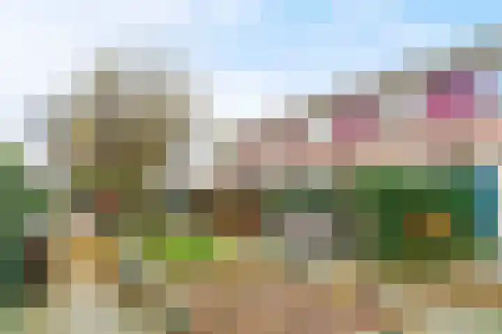Koningin Julianahof 7 Waarder thumbnail 9
