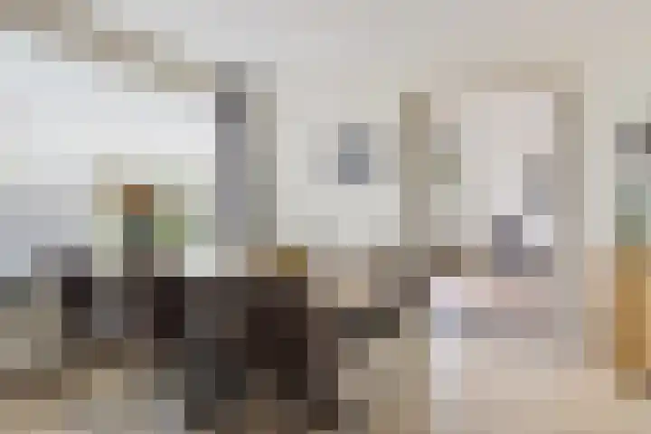 Koningin Julianalaan 10 Joure thumbnail 14