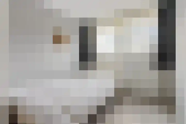 Koningin Julianalaan 10 Joure thumbnail 32