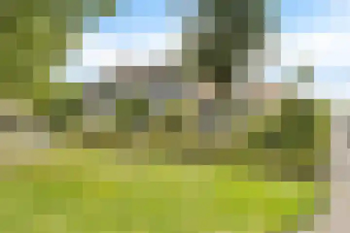 Koningin Julianalaan 10 Joure thumbnail 4