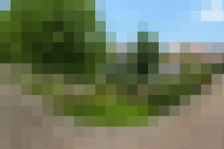 Koningin Julianalaan 10 Joure thumbnail 6