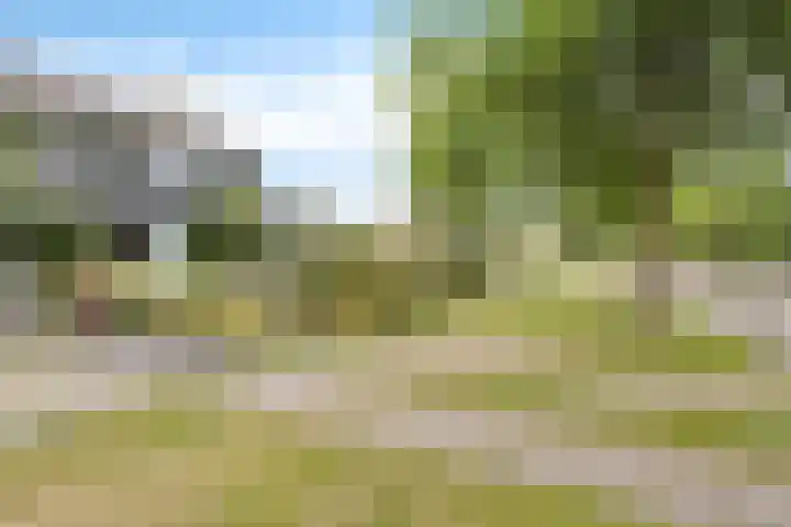 Koningin Julianalaan 10 Joure thumbnail 7