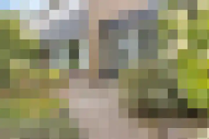 Koningin Julianalaan 10 Joure thumbnail 8