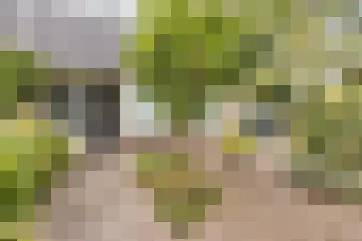 Koningin Julianalaan 10 Joure thumbnail 9