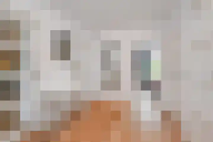 Koningin Julianalaan 101 Voorburg thumbnail 13