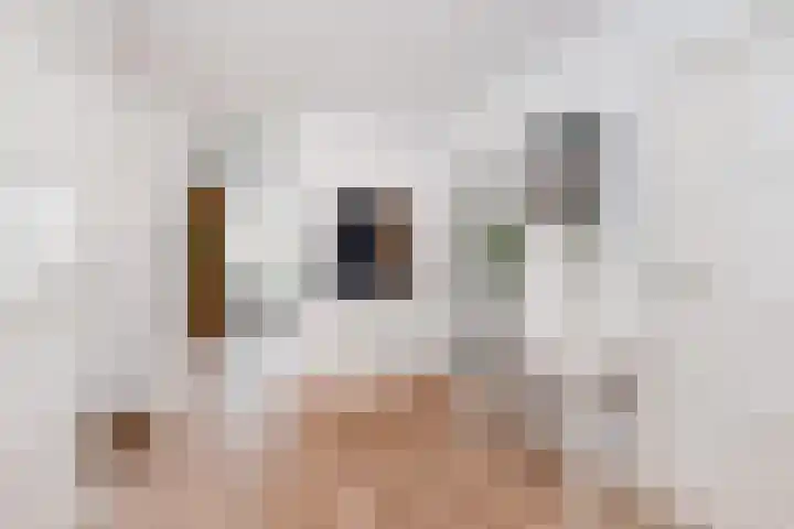 Koningin Julianalaan 101 Voorburg thumbnail 14