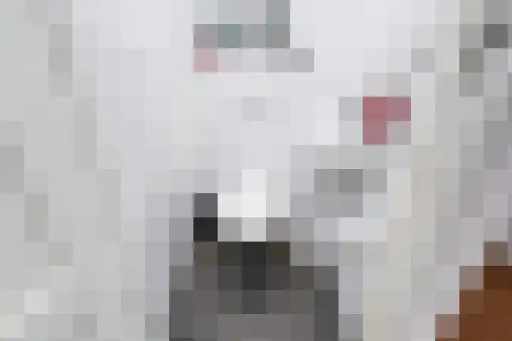 Koningin Julianalaan 101 Voorburg thumbnail 19