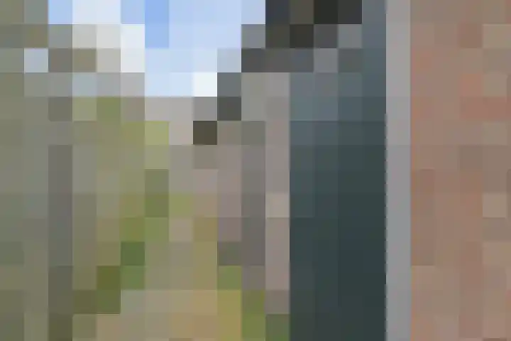 Koningin Julianalaan 101 Voorburg thumbnail 23