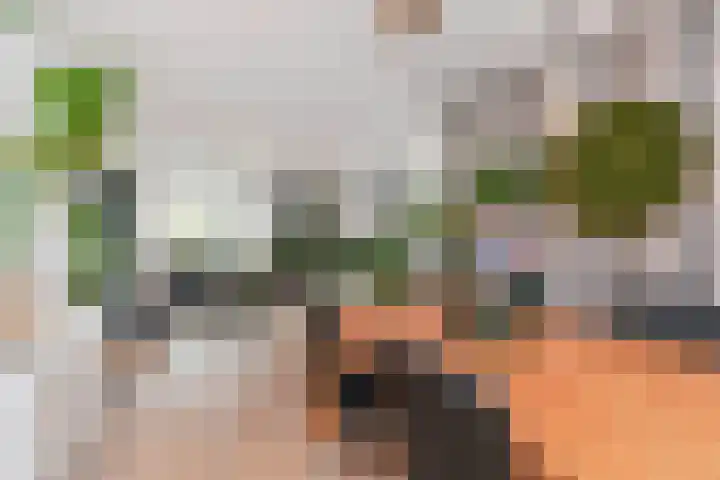 Koningin Julianalaan 101 Voorburg thumbnail 6