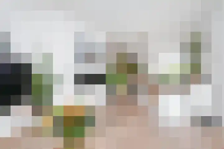 Koningin Julianalaan 101 Voorburg thumbnail 7