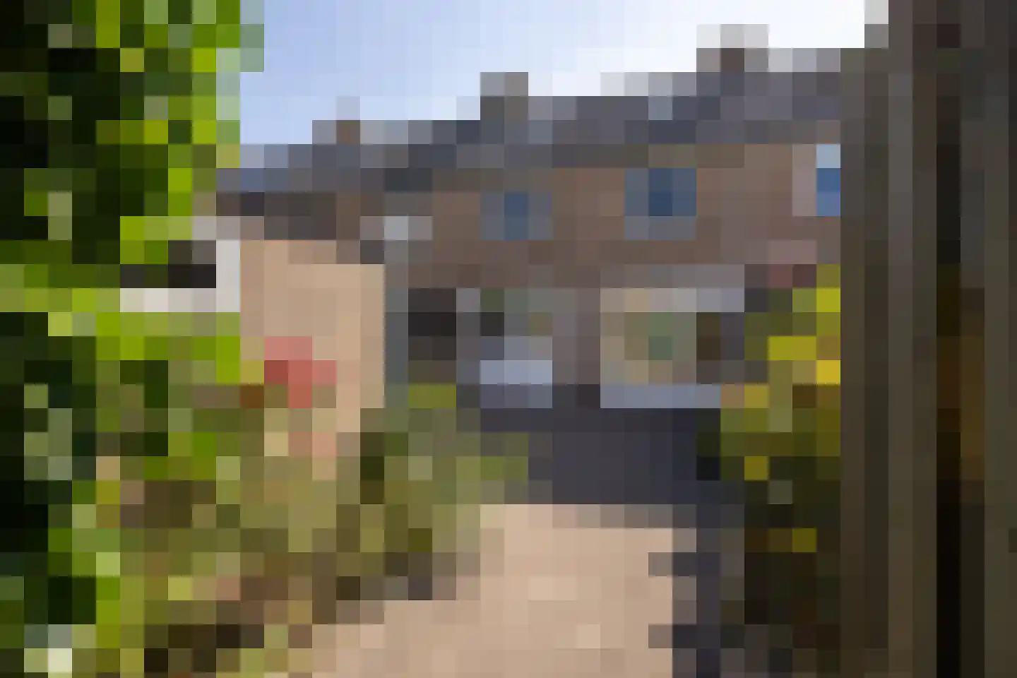 Koningin Julianalaan 105 Leusden thumbnail 32