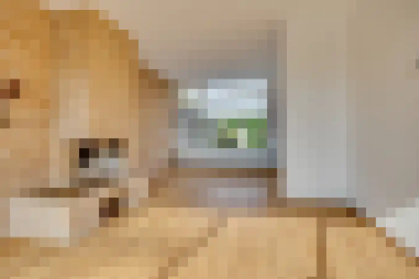 Koningin Julianalaan 105 Leusden thumbnail 9