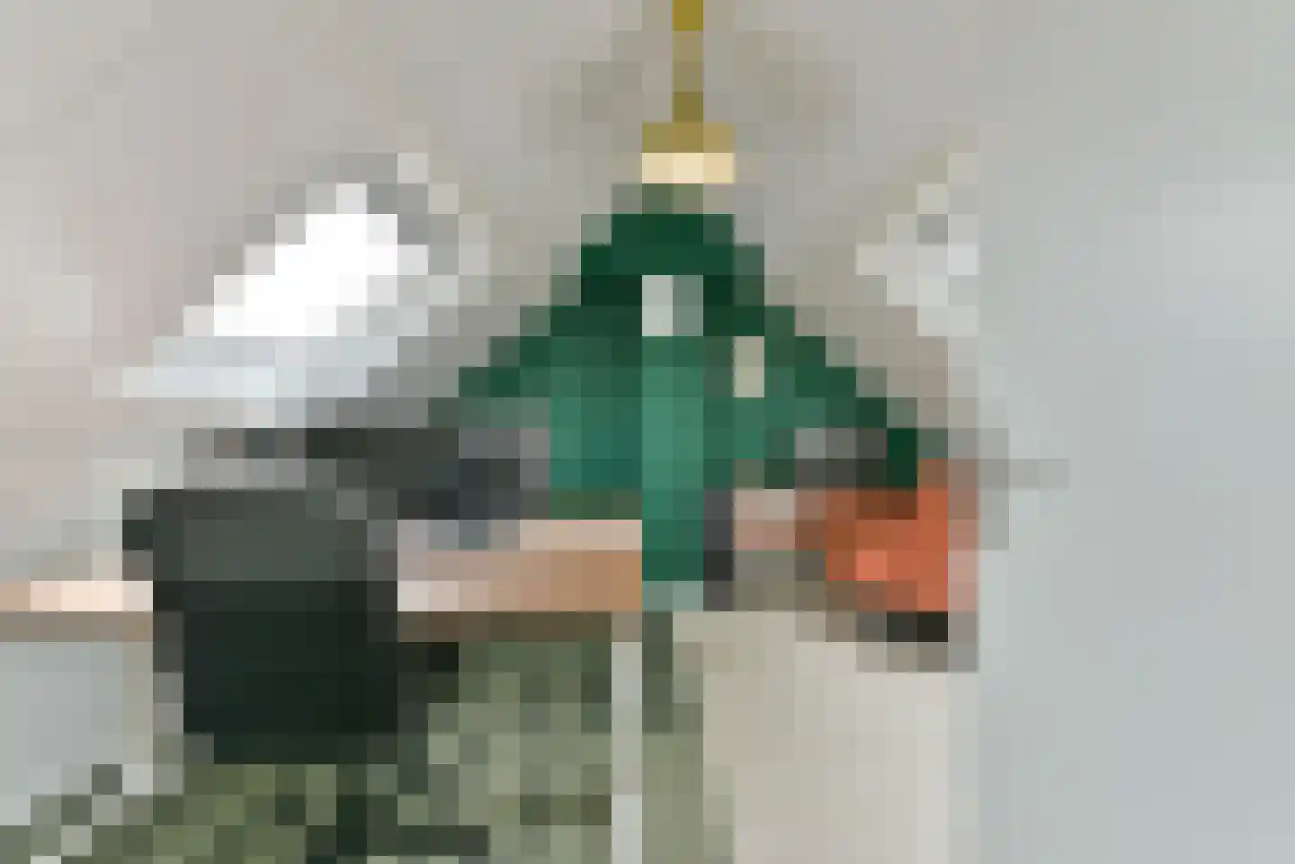 Koningin Julianalaan 109 Leusden thumbnail 42
