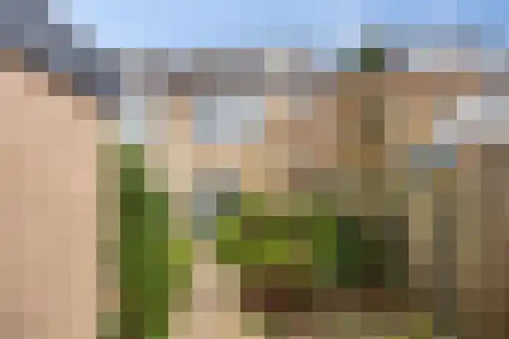 Koningin Julianalaan 11 IJsselstein thumbnail 26