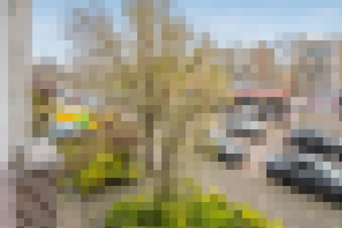 Koningin Julianalaan 117 Voorburg thumbnail 28