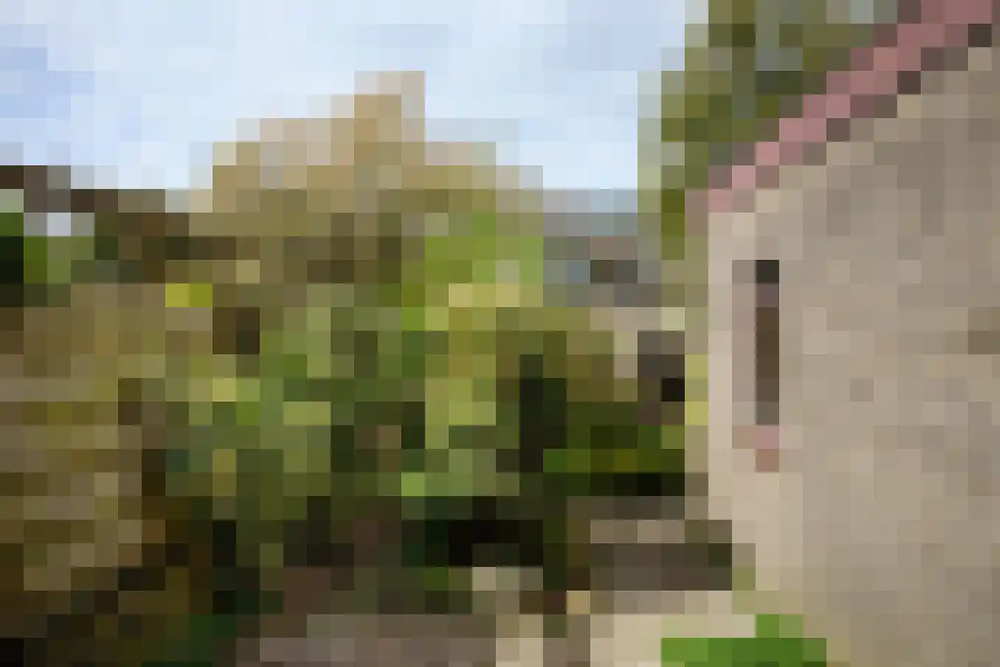 Koningin Julianalaan 12 Maartensdijk thumbnail 15