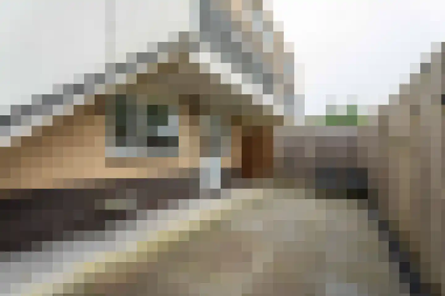Koningin Julianalaan 121 Rijnsburg thumbnail 6