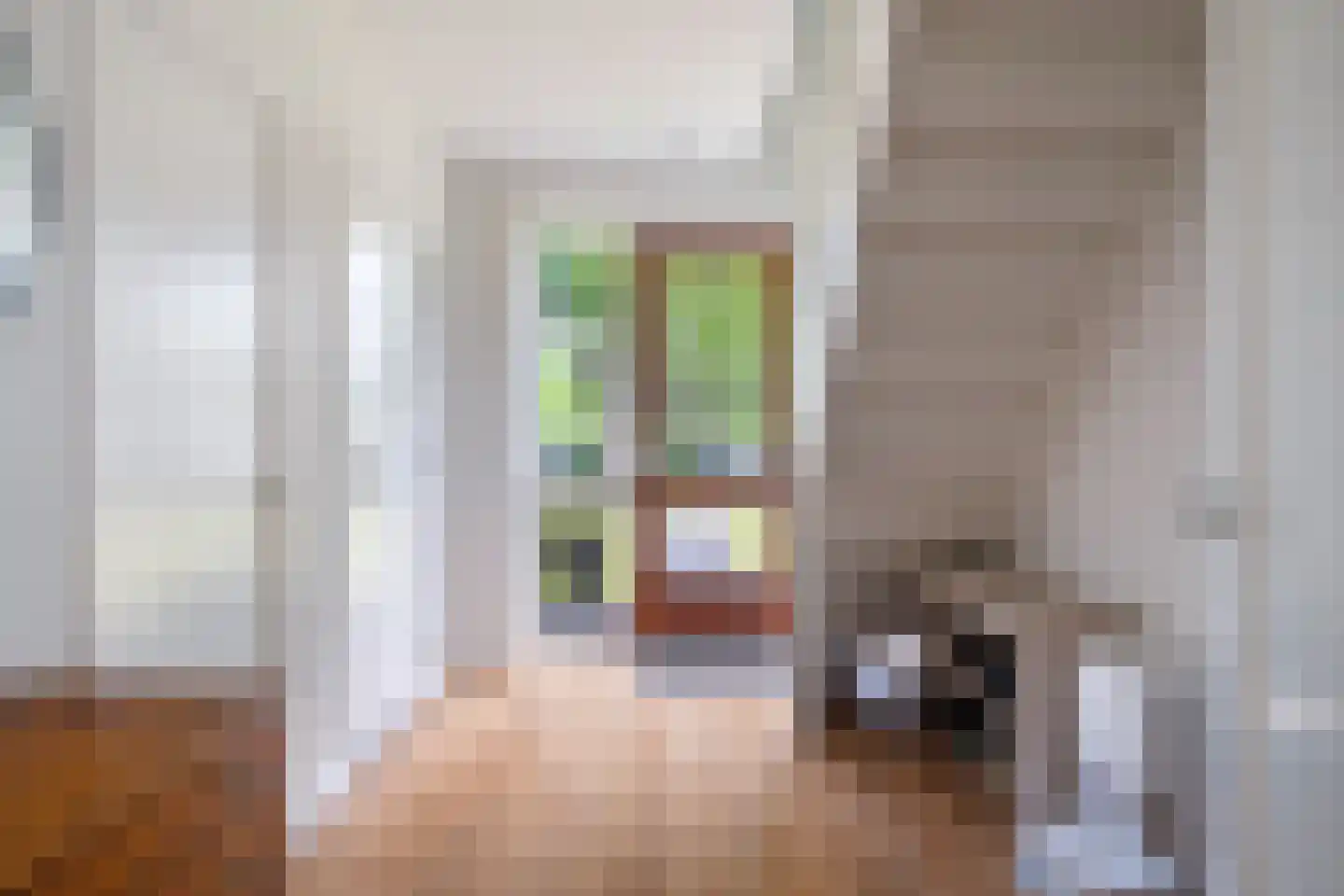 Koningin Julianalaan 14 Joure thumbnail 6