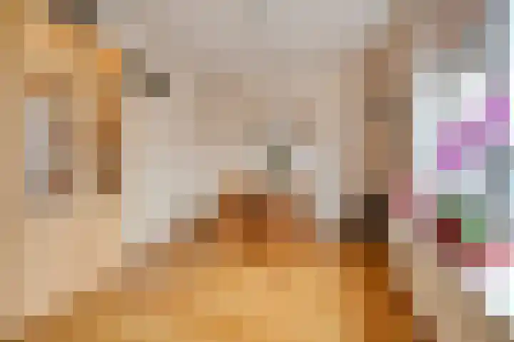 Koningin Julianalaan 149 Voorburg thumbnail 9