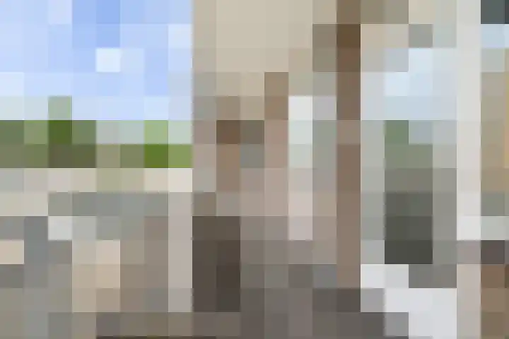 Koningin Julianalaan 154 Voorburg thumbnail 15