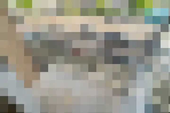 Koningin Julianalaan 154 Voorburg thumbnail 20