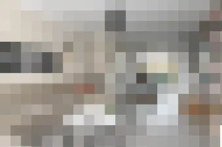 Koningin Julianalaan 155 Voorburg thumbnail 17